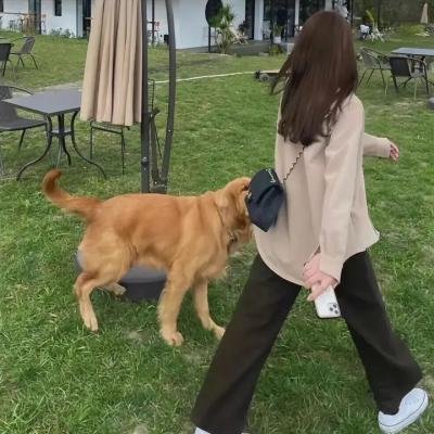 岳母的幸福生活